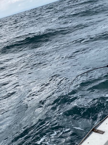 あみや渡船 JIGBOY 釣果