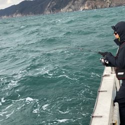 あみや渡船 JIGBOY 釣果