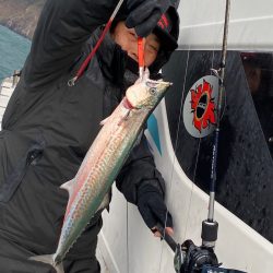 あみや渡船 JIGBOY 釣果