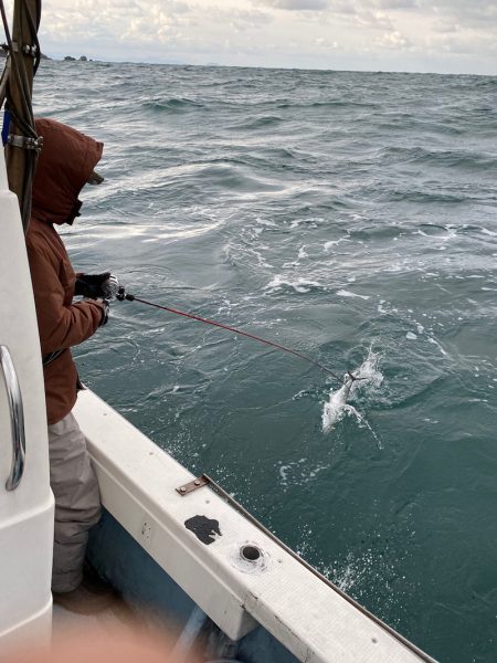 あみや渡船 JIGBOY 釣果