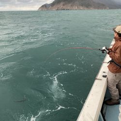 あみや渡船 JIGBOY 釣果