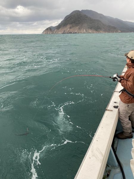 あみや渡船 JIGBOY 釣果
