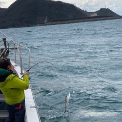 あみや渡船 JIGBOY 釣果