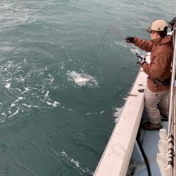 あみや渡船 JIGBOY 釣果