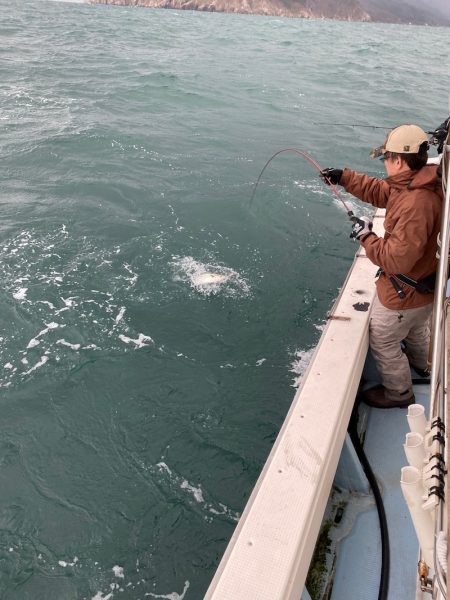 あみや渡船 JIGBOY 釣果