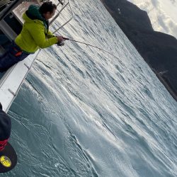 あみや渡船 JIGBOY 釣果