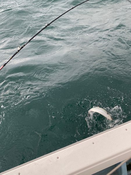 あみや渡船 JIGBOY 釣果