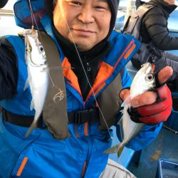 ヤザワ渡船 釣果