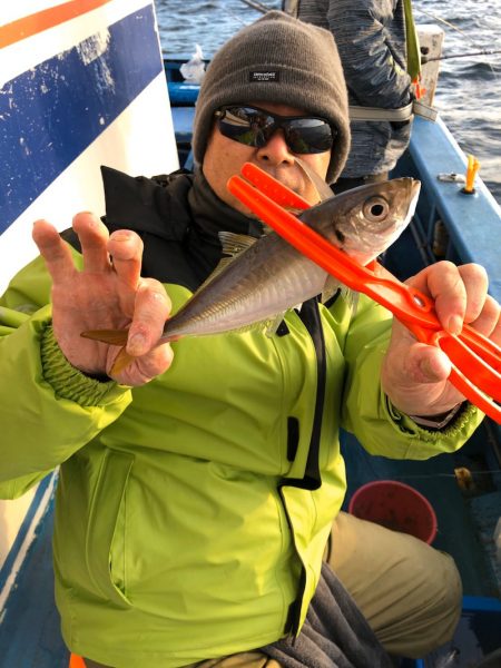 ヤザワ渡船 釣果