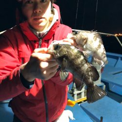 ヤザワ渡船 釣果