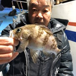 ヤザワ渡船 釣果