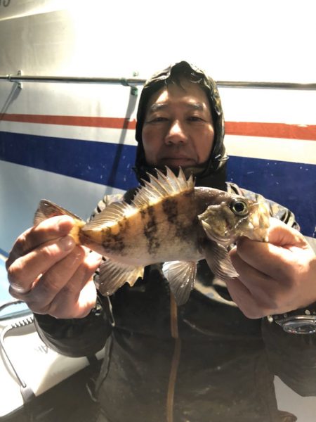 ヤザワ渡船 釣果