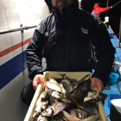 ヤザワ渡船 釣果