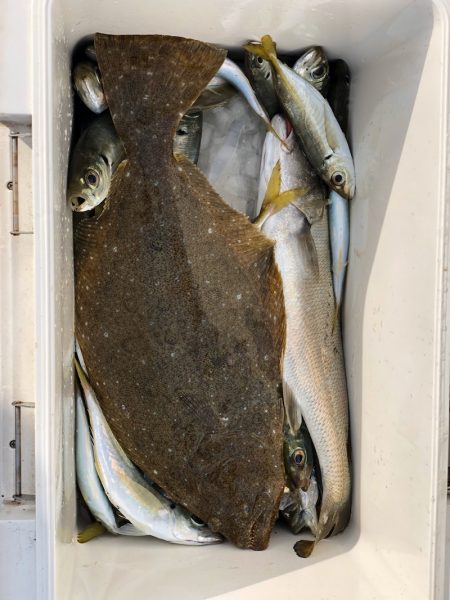 丸万釣船 釣果