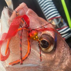 龍神丸（鹿児島） 釣果