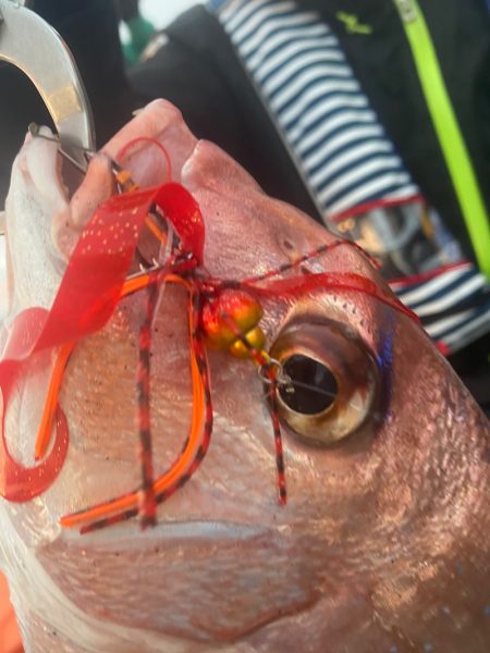 龍神丸（鹿児島） 釣果