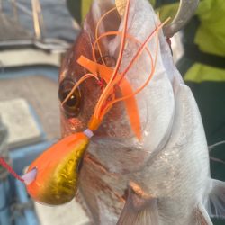 龍神丸（鹿児島） 釣果