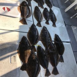 遊漁船メテオ 釣果