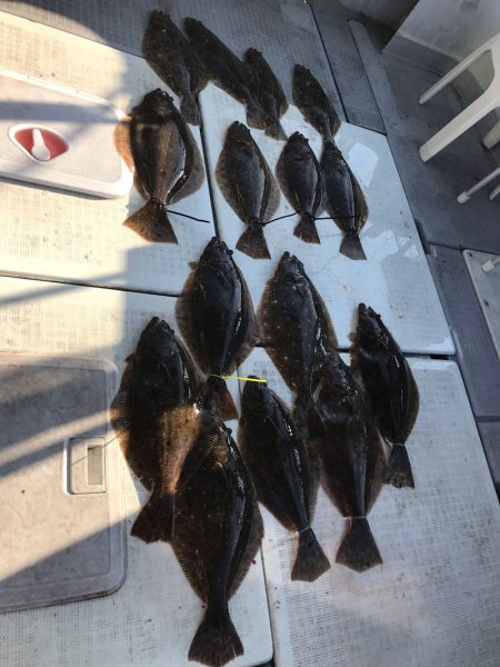 遊漁船メテオ 釣果