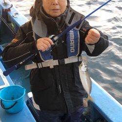 ヤザワ渡船 釣果