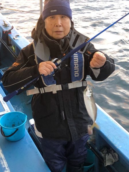 ヤザワ渡船 釣果