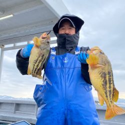 シーランチ 釣果