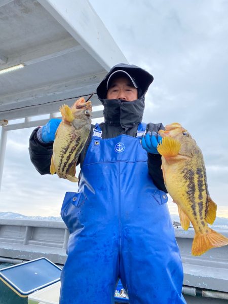 シーランチ 釣果