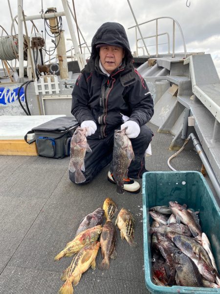 シーランチ 釣果