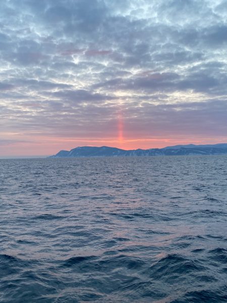 シーランチ 釣果