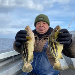 シーランチ 釣果