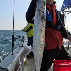 ランスルー 釣果