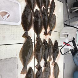 遊漁船メテオ 釣果