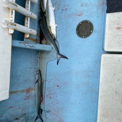 あみや渡船 JIGBOY 釣果