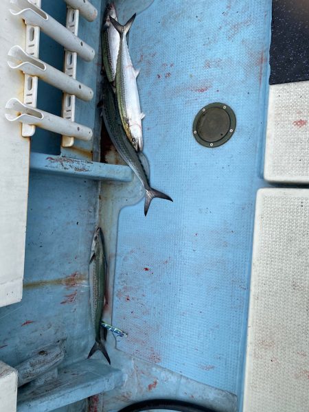 あみや渡船 JIGBOY 釣果