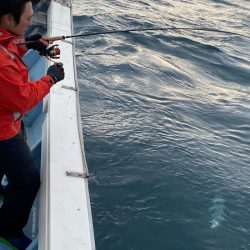 あみや渡船 JIGBOY 釣果