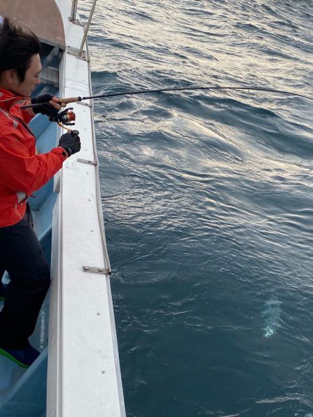 あみや渡船 JIGBOY 釣果