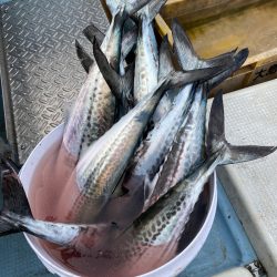 あみや渡船 JIGBOY 釣果