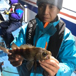 ヤザワ渡船 釣果