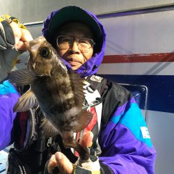 ヤザワ渡船 釣果