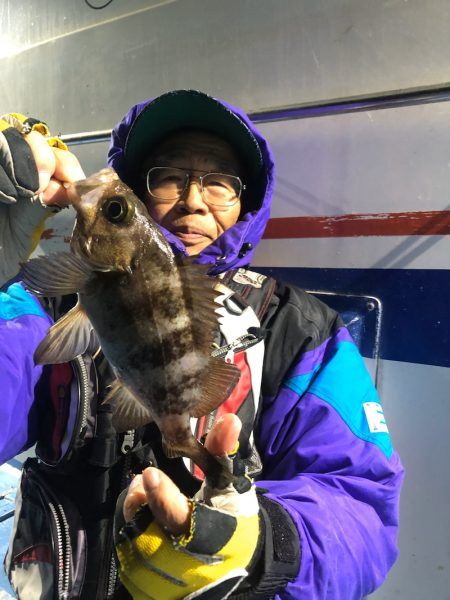 ヤザワ渡船 釣果