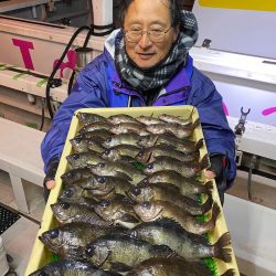 釣人家 釣果