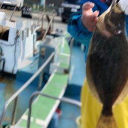 丸万釣船 釣果