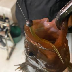 Monster Rush! 釣果