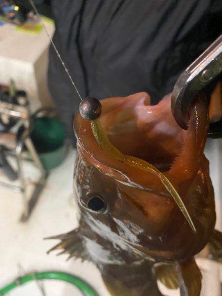 Monster Rush! 釣果