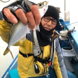 ヤザワ渡船 釣果