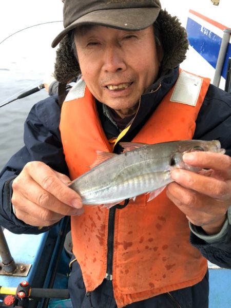 ヤザワ渡船 釣果