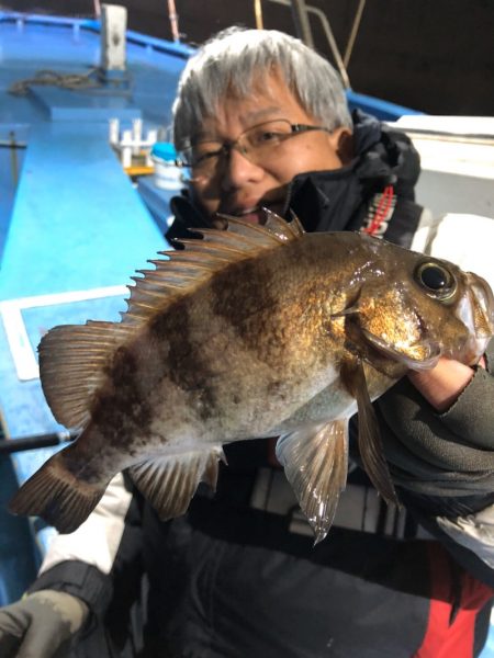 ヤザワ渡船 釣果