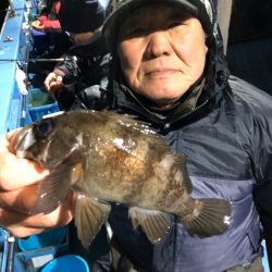 ヤザワ渡船 釣果