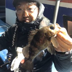 ヤザワ渡船 釣果