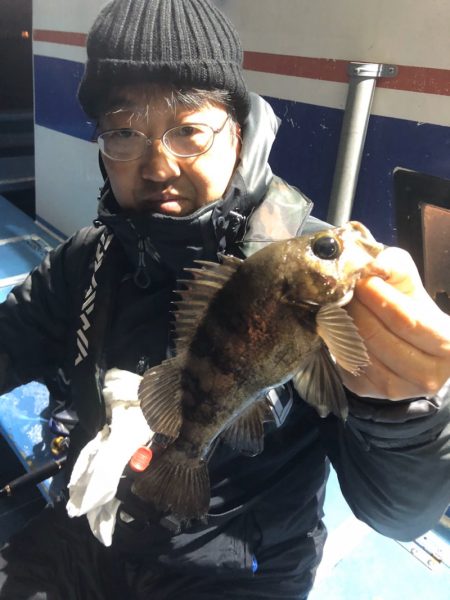 ヤザワ渡船 釣果